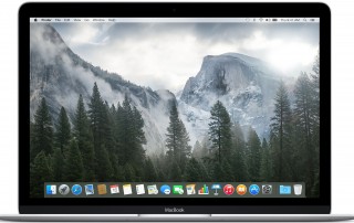 Apple MacBook 12&quot; (MJY42TU/A) Ultrabook