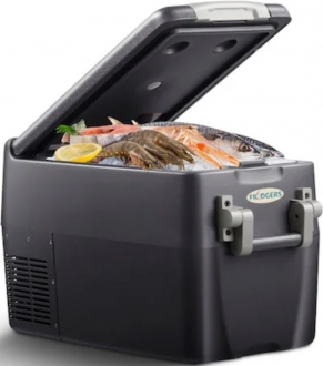 Fridgers DE30 Oto Buzdolabı