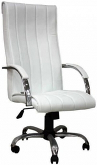 Herkese Mobilya Diana Yönetici Koltuğu