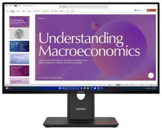 Lenovo ThinkVision T24D-40 Monitör