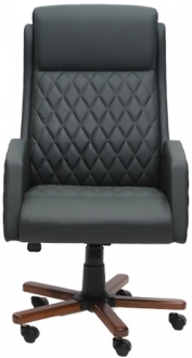 Ofishan Arteon Yönetici Koltuğu