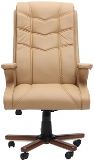 Ofishan Jaguar Yönetici Koltuğu