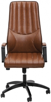 Ofishan Vera Yönetici Koltuğu