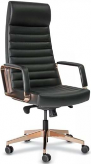 Uzay Ofis Mango Başlıklı Bronz Yönetici Koltuğu