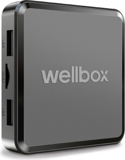 Wellbox Max 2 Medya Oynatıcı