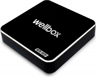 Wellbox WX-H3+ Medya Oynatıcı (16 GB)